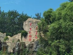 -秦皇岛野生动物园