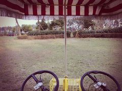 -白鹭湾湿地公园