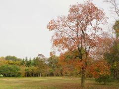 -安徽大学(龙河校区)