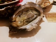-壹号港湾