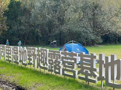 -同里国家湿地公园
