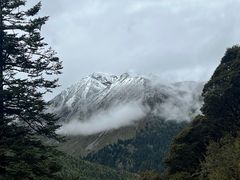 -亚拉雪山风景区