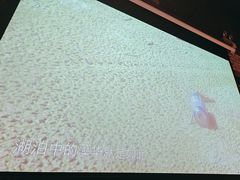 -枪火串烧·东北特色烧烤(罗湖总店)