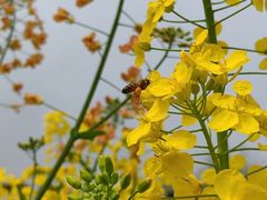 -中国天府农业博览园