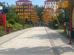 -光明农场大观园