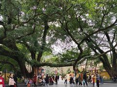 -桂林独秀峰王城景区