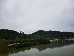 -野狸岛