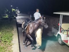 -蜈支洲岛珊瑚酒店临海阁中餐厅