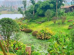 -枫香湖儿童公园