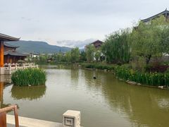 -丽江金茂凯悦臻选酒店-滇香馆