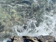 -北戴河转鱼·炒螃蟹酱餐厅
