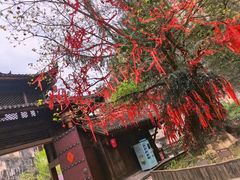 -车溪民俗旅游区