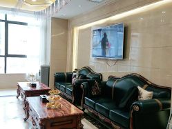 -碧莲盛·不剃发植发