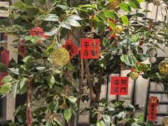 -ZM COFFEE(西安路店)