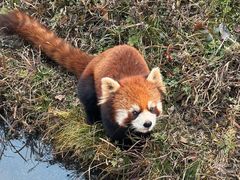 -宁波野生动物园
