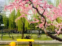-团结湖公园