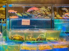 -金翠皇宫粤菜·点心·海鲜(翡翠店)