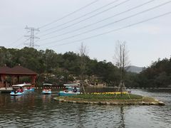 -清境桃源