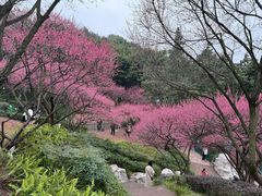 -重庆彩云湖湿地公园