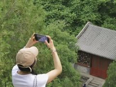 -北京凤凰岭