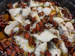 -金三可市井水煮鱼(金碧园店)