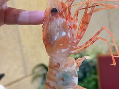 -松坂屋日料自助(长城路店)