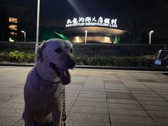 -宁波九龙湖开元度假村