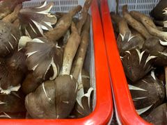 -菌海森林·非遗野生菌火锅(西山区滇池路摩根道店)
