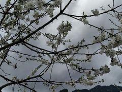 -萝卜寨羌文化生态旅游区
