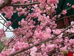 -汕尾铜鼎山旅游区