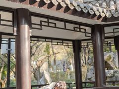 -墨池公园