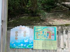 -九龙公园