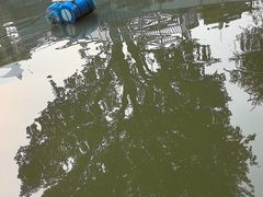 -酷鱼垂钓CLUB(朝阳区博大路店 )