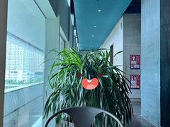 -百年果林椰子鸡(中洲店)