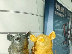 -凤凰中心