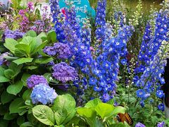 -人民公园(罗湖区)