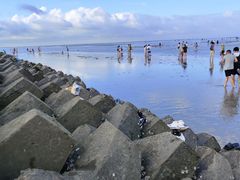 -南汇嘴观海公园