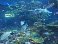 -海合安武汉极地海洋公园