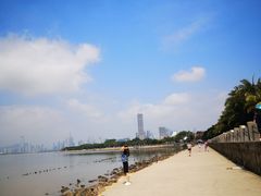 -深圳湾公园(南山区)