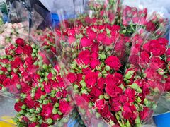 -循礼门鲜花花市(武汉循礼门店)