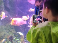 -泉城欧乐堡海洋极地世界