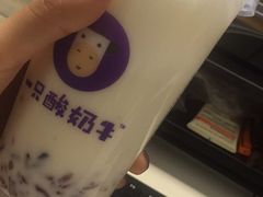 -一只酸奶牛(来福士店)