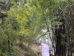 -刘伯温故里景区百丈漈