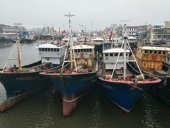 -吕四渔港码头海鲜餐厅
