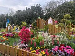 -上海共青森林公园