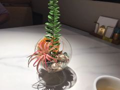 -码头见·潮汕菜(领展中心城店)