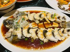 -甄御•海鲜新青岛菜(麦岛店)