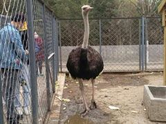 -长白岛森林公园