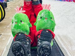 -广州热雪奇迹