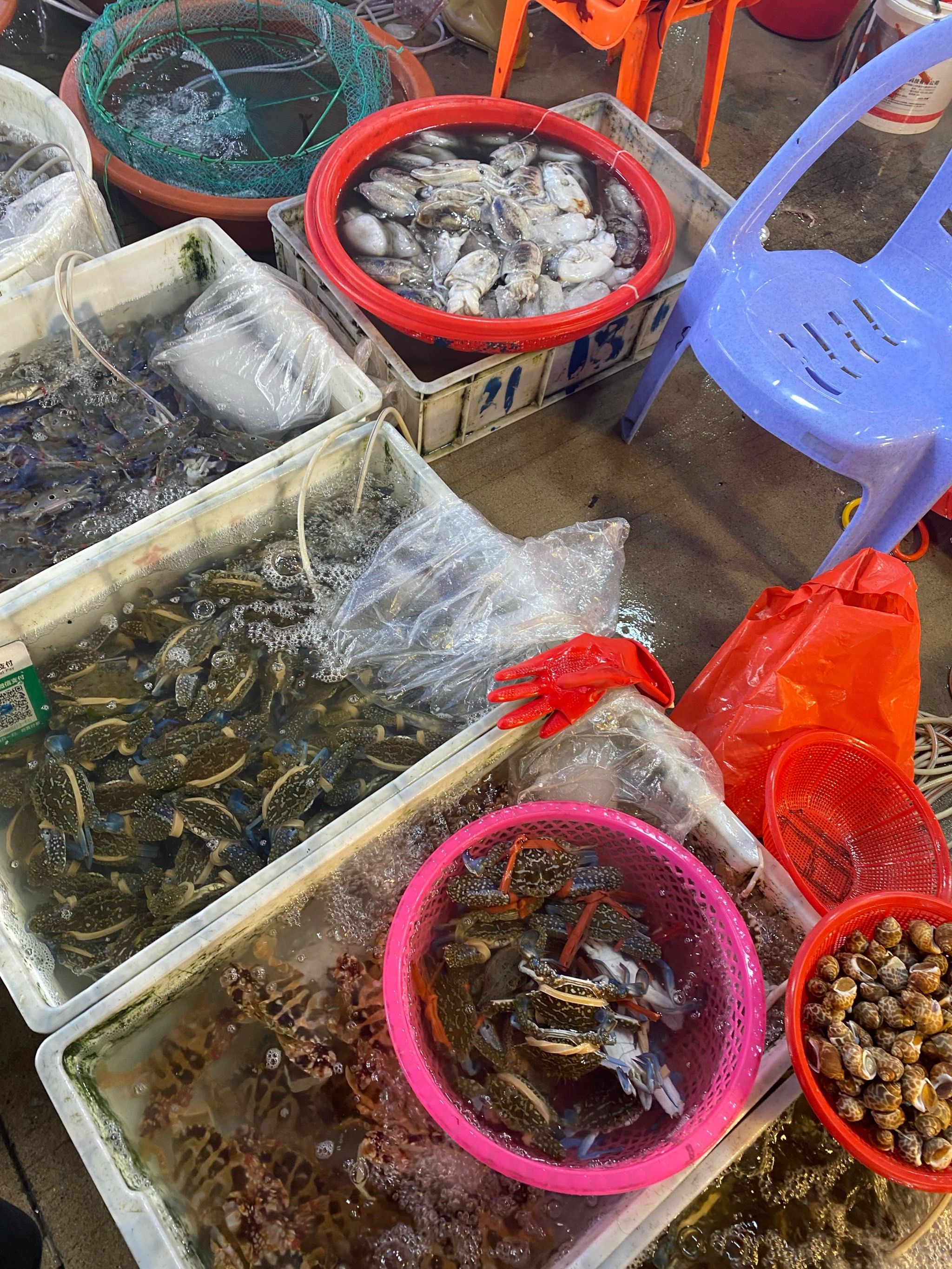 记录一下海边附近菜市场卖的各种海鲜